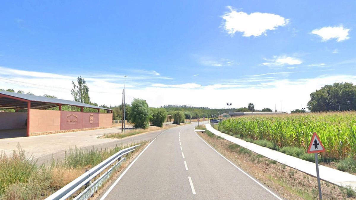 Alerta por pulguilla de la patata